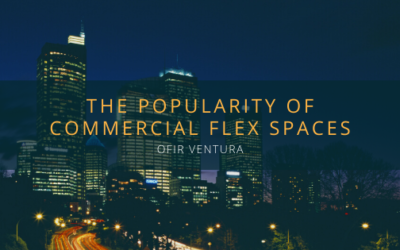 The Popularity of Commercial Flex Spaces